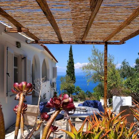 New! Paxoswhite Sea View Apartments & Studios! Gáios Exterior foto